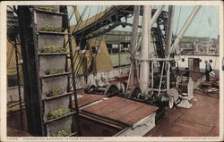 Unloading Bananas (Steam Conveyers) Boats, Ships Postcard Postcard