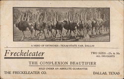 Freckeleater, the complexion beautifier Dallas, TX Advertising Postcard Postcard