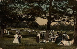 Picnicing, High Park Postcard