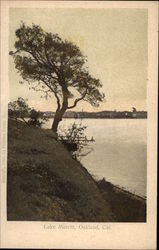 Lake Merritt Postcard