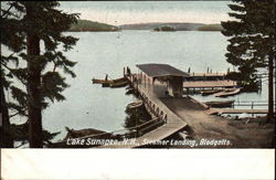 Steamer Landing, Blodgetts Postcard