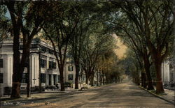 Lafayette Street Salem, MA Postcard Postcard