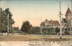 Calistoga Ave Postcard