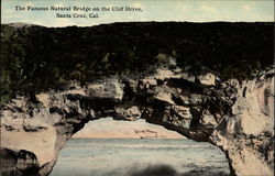 The famous Natural Bridge on the Cliff Drive Santa Cruz, CA Postcard Postcard