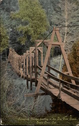 Swinging Bridge Leading to the Big Tree Grove Santa Cruz, CA Postcard Postcard