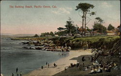 The Bathing Beach Postcard