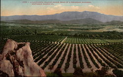 A California Orange Grove, Road of a Thousand Wonders, Southern Pacific Co Postcard