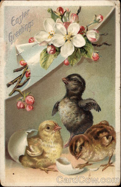 Eastern Greetings - Chicks and Apple Blossom With Chicks