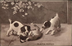 Three Puppies Playing Postcard