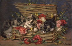 Cats and Flowers in a Basket Postcard