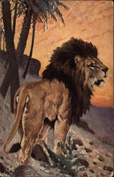 Painting of a Lion Lions Postcard Postcard