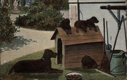 Dog and Four Puppies by a Doghouse in a Garden Dogs Postcard Postcard