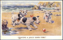 Three Little Dogs Playing with a Ball on the Beach Postcard