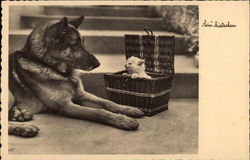 German shepherd next to kitten in basket Dogs Postcard Postcard