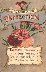 Red Carnation; Affection Postcard