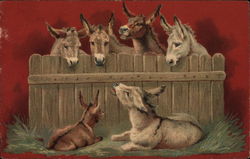 Five Donkeys and a Fence Postcard