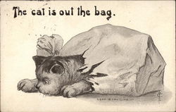 The Cat is Out the Bag Postcard