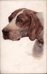 Portrait of an English Pointer Postcard