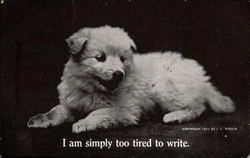 White Puppy Looks Sleepy Postcard