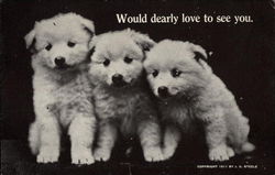 Three White Puppies Postcard