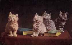 Four kittens on table with two books Postcard