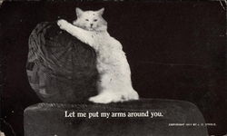 White Cat with Basket - Let me put my arms around you Postcard