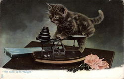 Little black cat on the scales Postcard