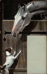 Horse in a stable looking at a dog Horses Postcard Postcard