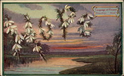 Language of Flowers - Snowdrop - Hope Postcard Postcard