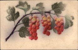 Red Berries on a Branch Airbrushed Postcard Postcard