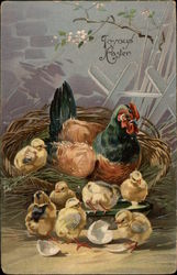 Joyous Easter - Chicken and Chicks Postcard