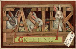 Easter Greeting Postcard