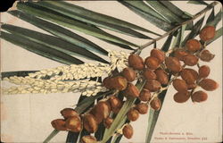 Barley and Fruit Postcard