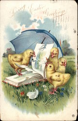 Four Chicks under a Blue Umbrella Pecking at a Book With Chicks Postcard Postcard