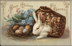 Rabbit in Basket, Flowers & Eggs Postcard