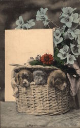 Cute Puppies Dogs Postcard Postcard