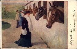 Woman admiring Horses in Stalls - Favorites Postcard