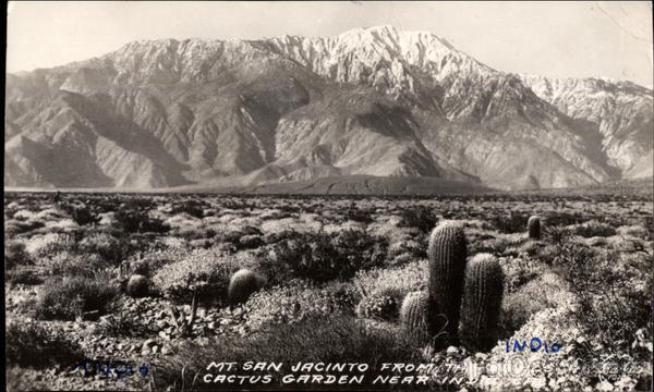 Mt. San Jacinto from the Cactus Garden Indio, CA