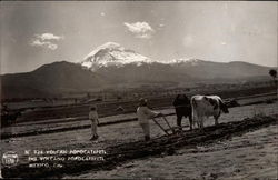 The Volcano Popocatepetl Postcard