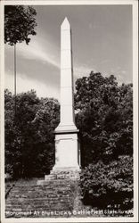 Monument at Blue Licks Battlefield State Park Postcard