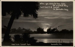 View from Sunset Park Sarasota, FL Postcard Postcard