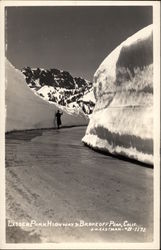 Lassen Park Highway, Brokeoff Mountain Postcard