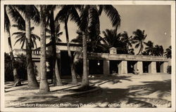 Matheson Hammock Bathing Beach Postcard