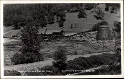 Mill at Horse Creek, California Postcard