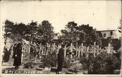 Cemetery of Crosses World War I Postcard Postcard