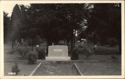 Sawyer Headstone in Cemetery Postcard