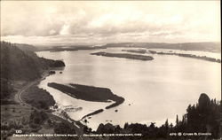 Columbia River from Crown Point Postcard