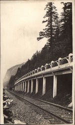 Railway Track in th Mountains Postcard