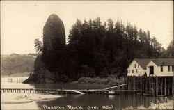 View of Rooster Rock Postcard