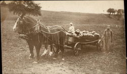 Hauling Pumpkins in a Wagon Farming Postcard Postcard